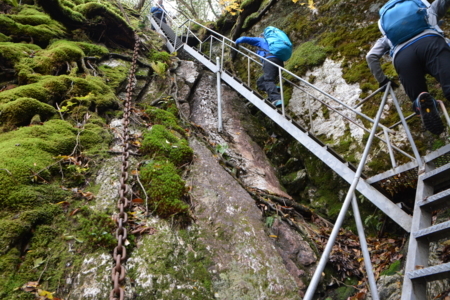 f:id:kurokoshusaru:20171107191154j:image