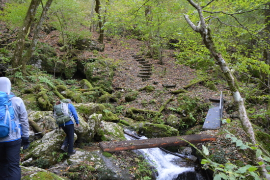 f:id:kurokoshusaru:20171107191223j:image