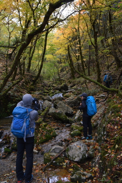 f:id:kurokoshusaru:20171107192143j:image