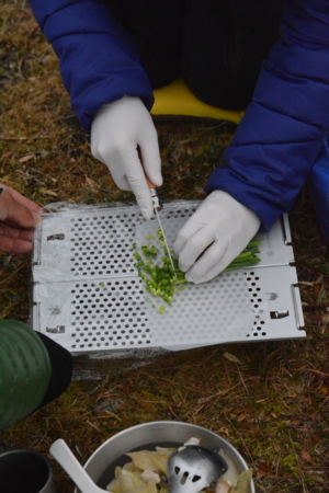 f:id:kurokoshusaru:20171116174821j:image