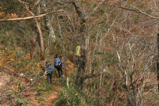 f:id:kurokoshusaru:20171116175519j:image