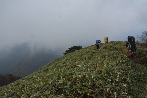 f:id:kurokoshusaru:20171116175536j:image