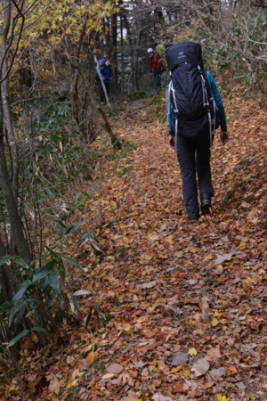 f:id:kurokoshusaru:20171116175836j:image