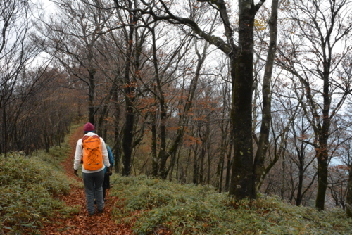 f:id:kurokoshusaru:20171126160924j:image