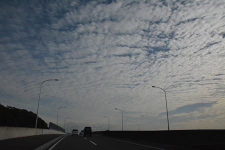 f:id:kurokoshusaru:20171202211347j:image