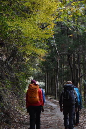 f:id:kurokoshusaru:20171203072814j:image