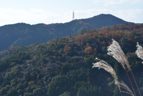 鷲尾山