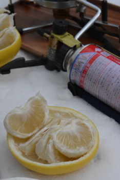 f:id:kurokoshusaru:20171226181307j:image f:id:kurokoshusaru:20171226181307j:image