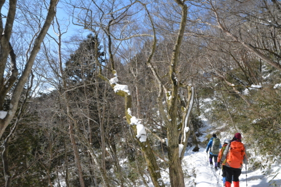 f:id:kurokoshusaru:20180202171429j:image