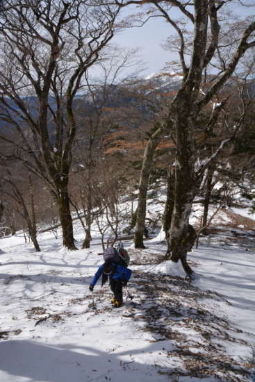 f:id:kurokoshusaru:20180207192546j:image