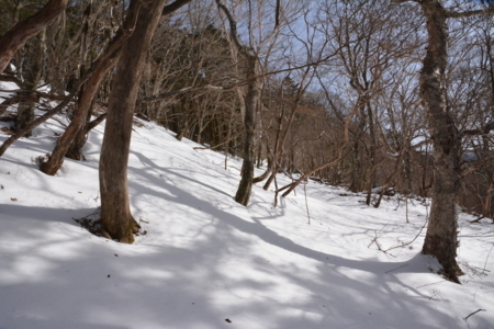 f:id:kurokoshusaru:20180207192558j:image