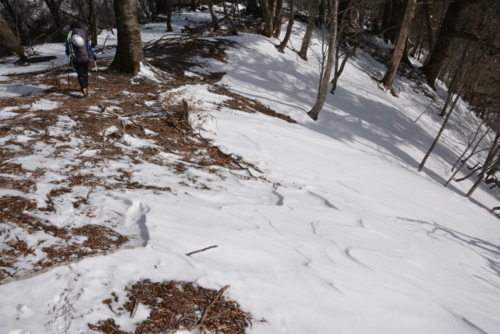 f:id:kurokoshusaru:20180207192610j:image