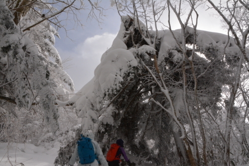 f:id:kurokoshusaru:20180212173936j:image