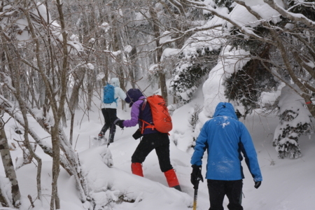 f:id:kurokoshusaru:20180212173948j:image