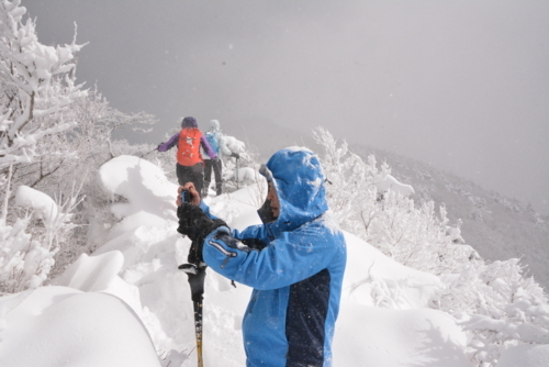 f:id:kurokoshusaru:20180212174416j:image