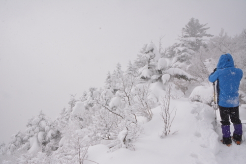 f:id:kurokoshusaru:20180212174957j:image