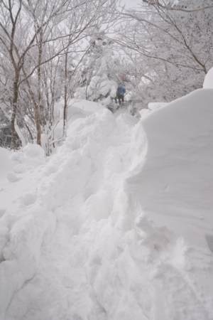 f:id:kurokoshusaru:20180212175017j:image