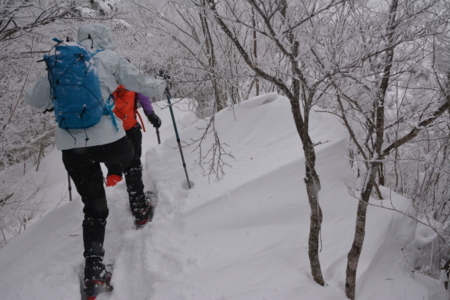 f:id:kurokoshusaru:20180212175029j:image