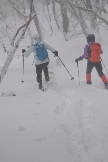 f:id:kurokoshusaru:20180212175604j:image