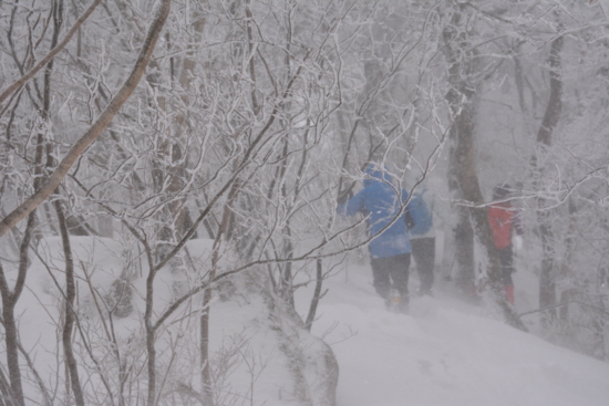 f:id:kurokoshusaru:20180212175629j:image