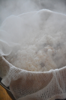 f:id:kurokoshusaru:20180213185650j:image