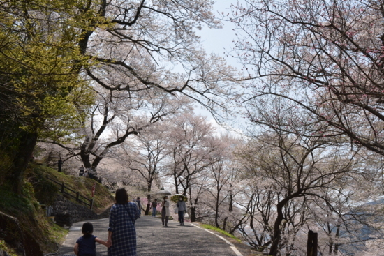 f:id:kurokoshusaru:20180406211205j:image f:id:kurokoshusaru:20180406211205j:image