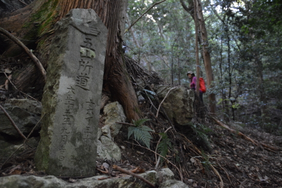 f:id:kurokoshusaru:20180622180719j:image