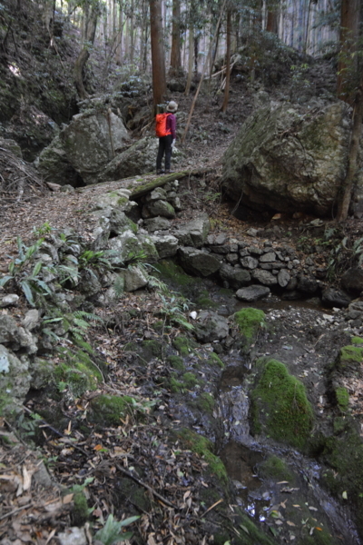 f:id:kurokoshusaru:20180622180732j:image