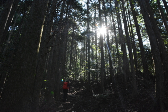 f:id:kurokoshusaru:20180622181537j:image