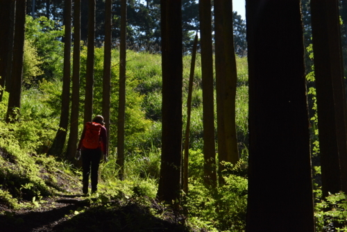 f:id:kurokoshusaru:20180622182006j:image