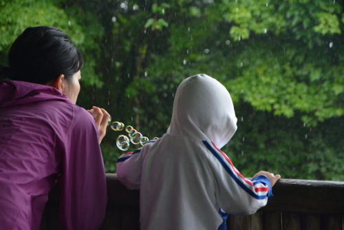 f:id:kurokoshusaru:20180710174506j:image f:id:kurokoshusaru:20180710174506j:image