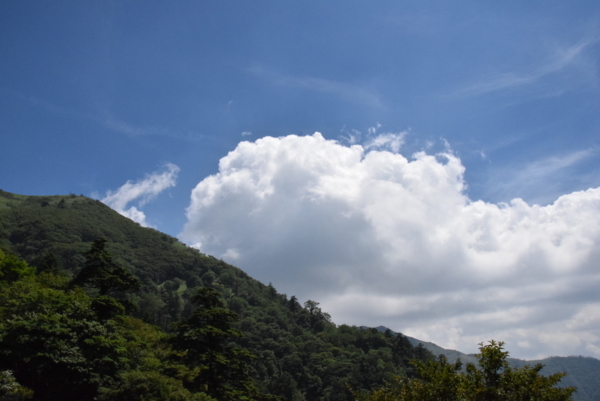 f:id:kurokoshusaru:20180719194246j:image