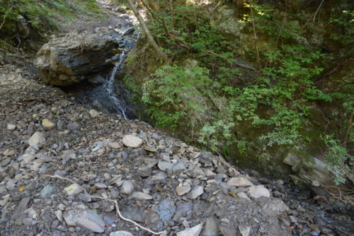 f:id:kurokoshusaru:20180725174938j:image f:id:kurokoshusaru:20180725174938j:image