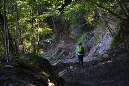 f:id:kurokoshusaru:20180725174952j:image f:id:kurokoshusaru:20180725174952j:image