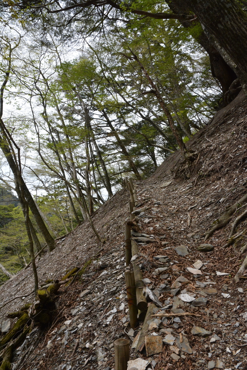 f:id:kurokoshusaru:20190506144533j:plain