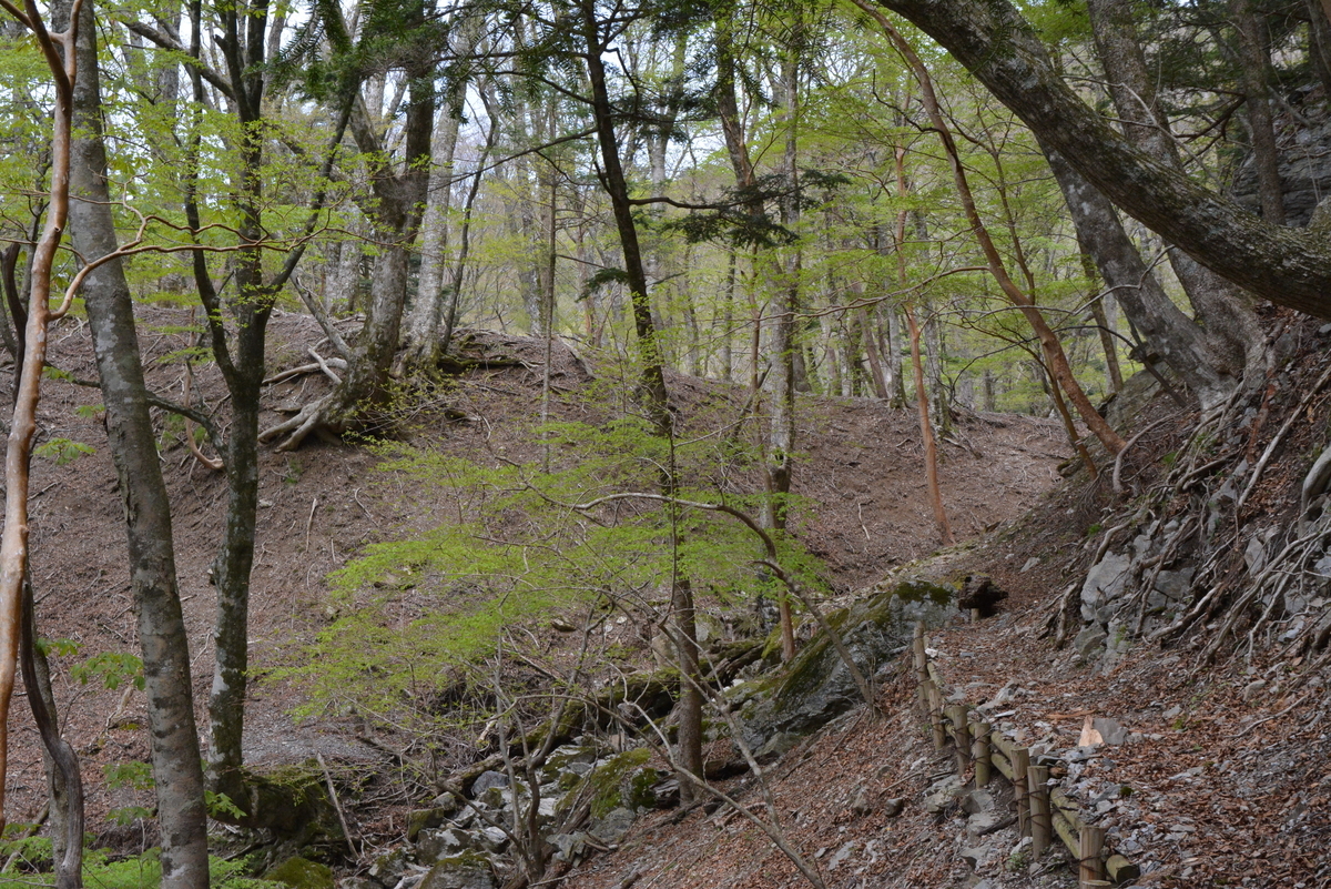 f:id:kurokoshusaru:20190506144744j:plain