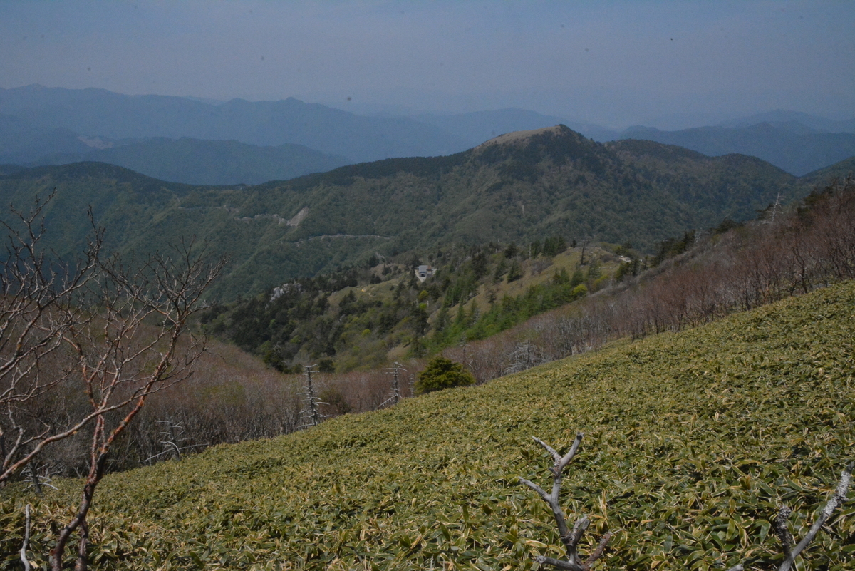 f:id:kurokoshusaru:20190529065140j:plain f:id:kurokoshusaru:20190529065140j:plain