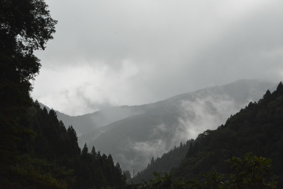 f:id:kurokoshusaru:20190923190643j:plain