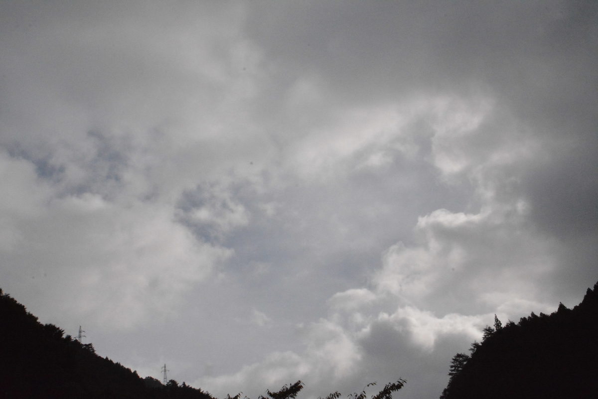 f:id:kurokoshusaru:20190923190733j:plain