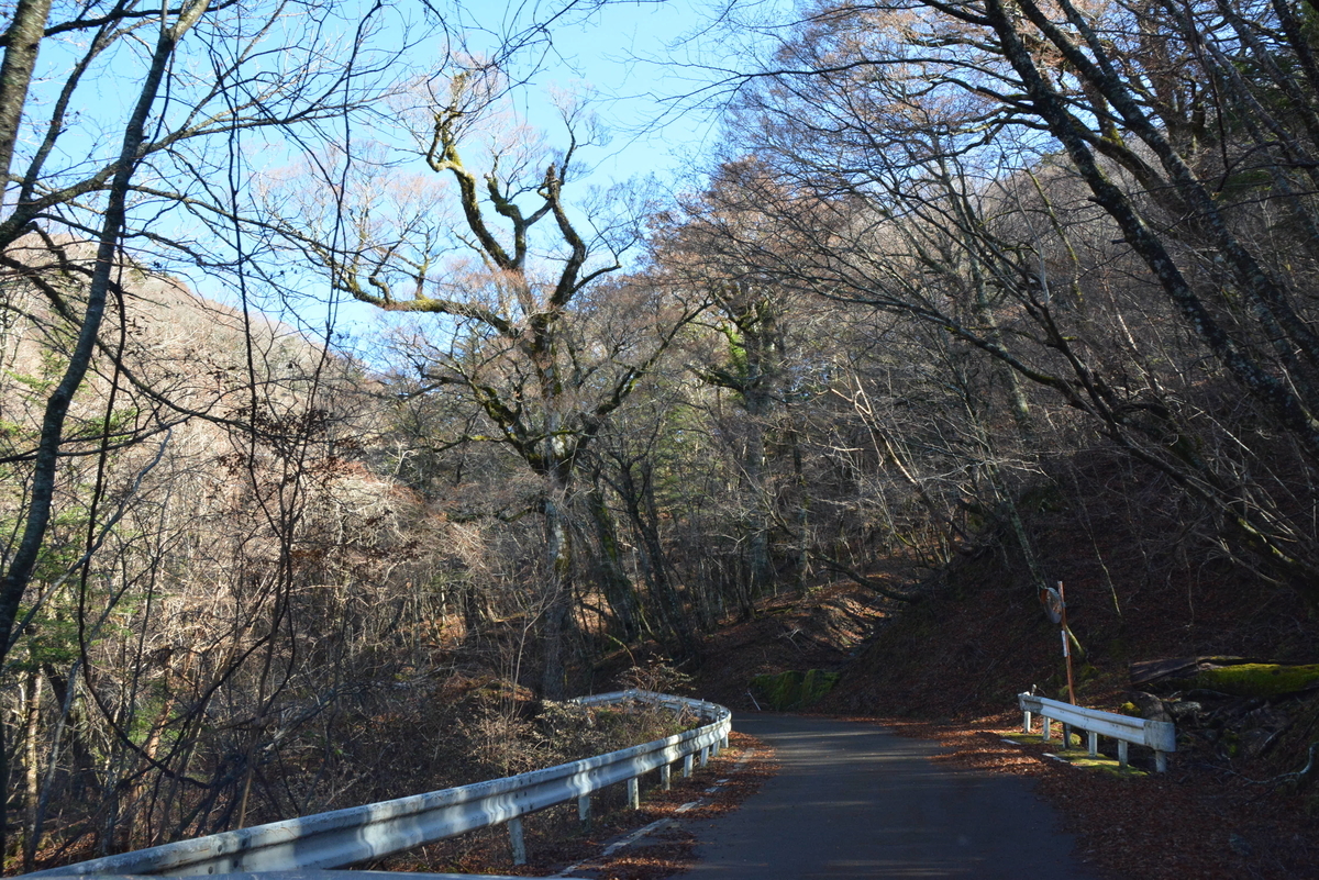 f:id:kurokoshusaru:20191125162711j:plain