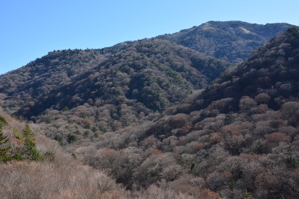 f:id:kurokoshusaru:20191125162753j:plain