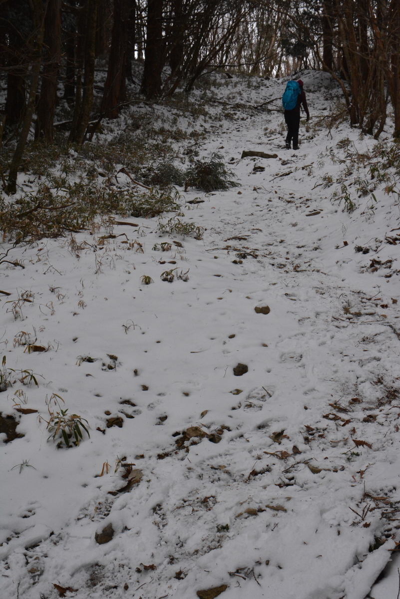 f:id:kurokoshusaru:20191209170211j:plain