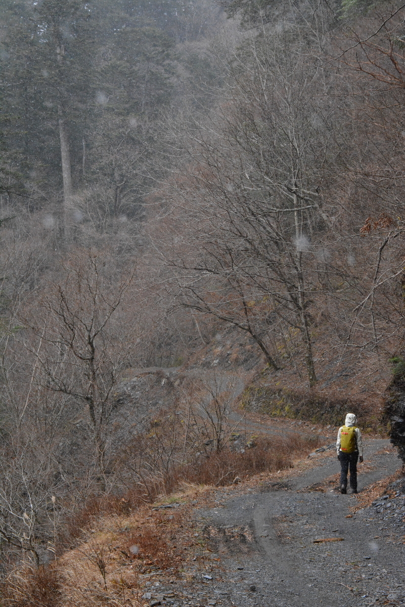 f:id:kurokoshusaru:20191224165723j:plain