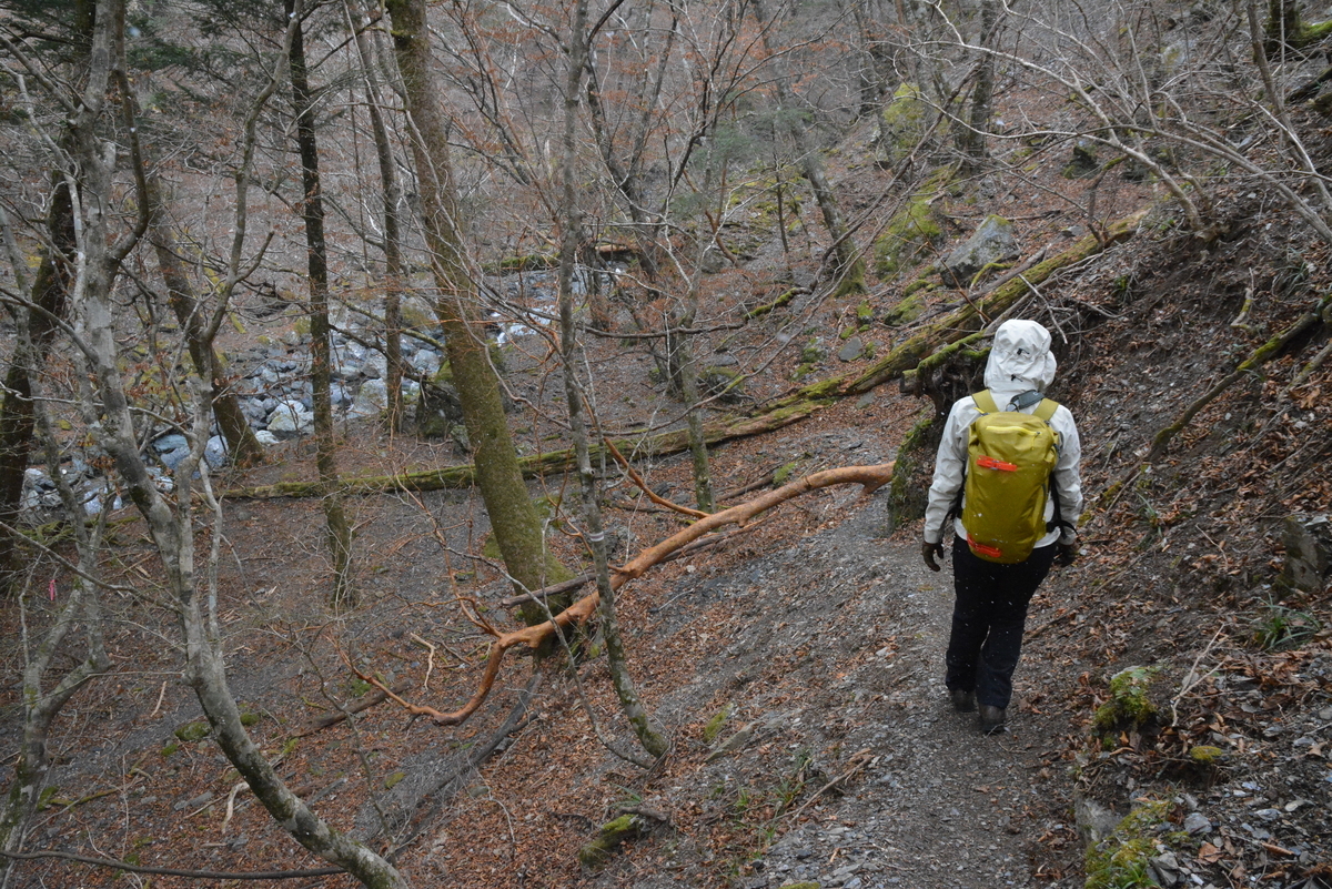 f:id:kurokoshusaru:20191225120233j:plain