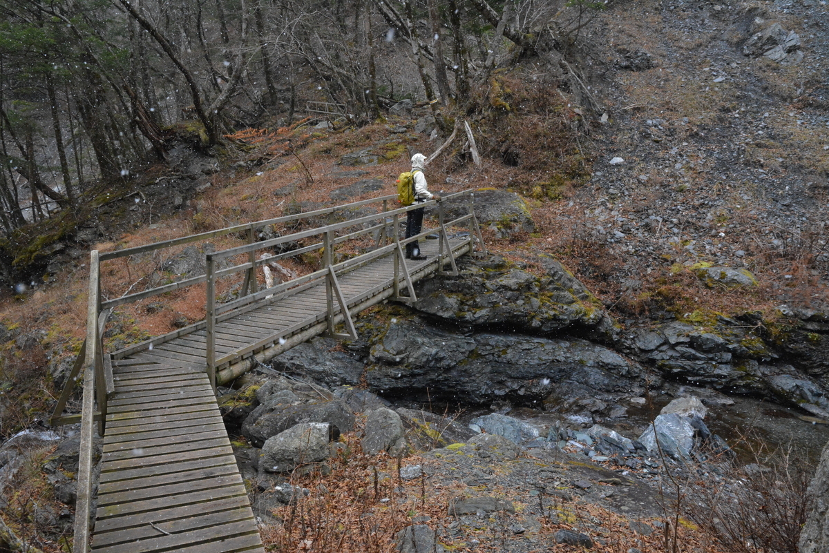 f:id:kurokoshusaru:20191225120413j:plain