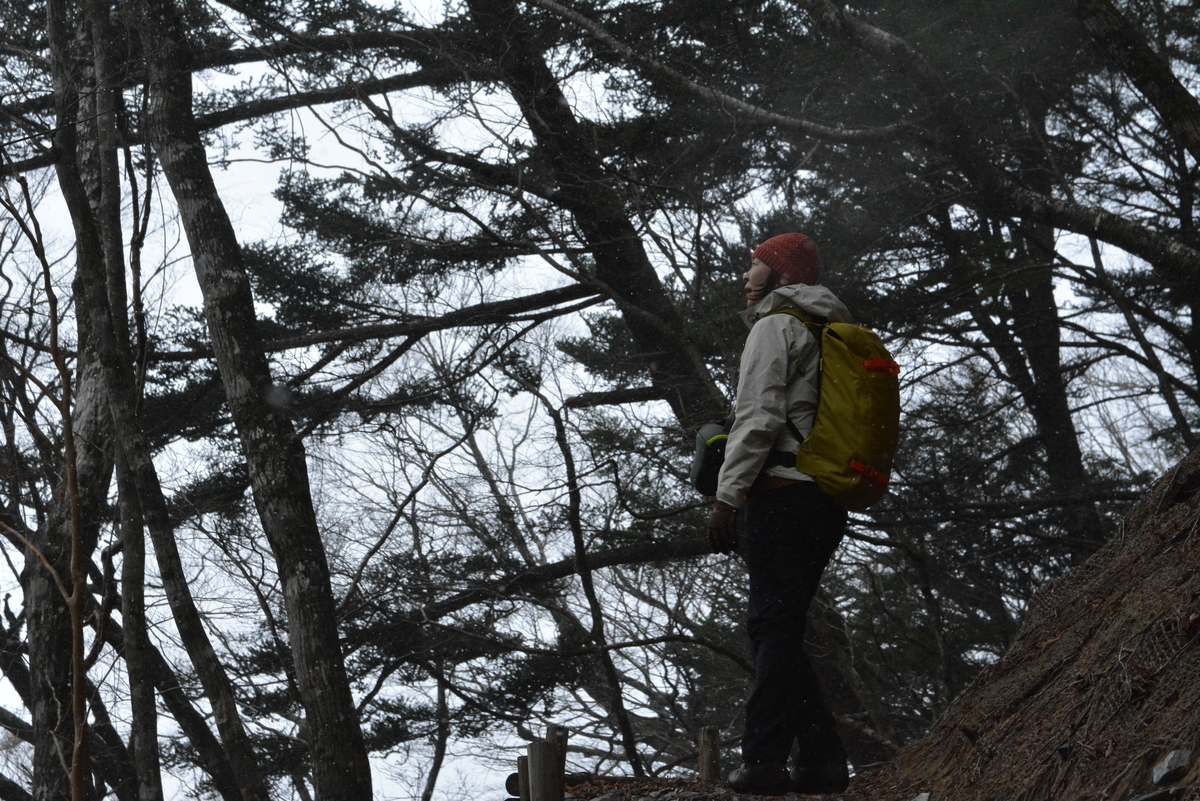 f:id:kurokoshusaru:20191225121000j:plain