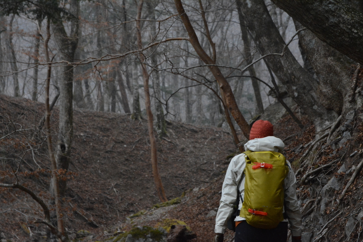 f:id:kurokoshusaru:20191225121222j:plain