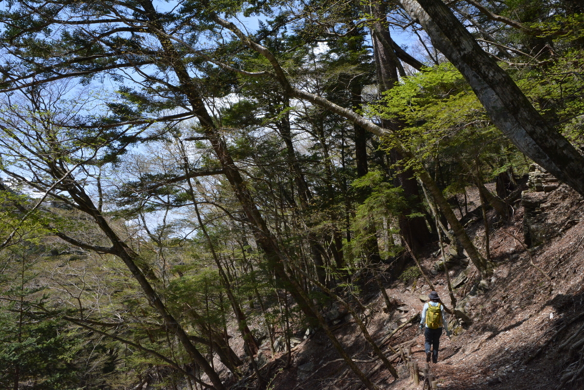 f:id:kurokoshusaru:20200509151155j:plain f:id:kurokoshusaru:20200509151155j:plain