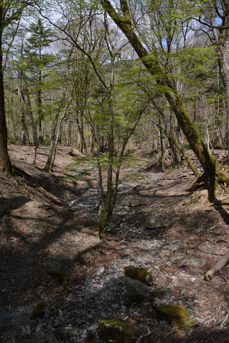 f:id:kurokoshusaru:20200509151302j:plain f:id:kurokoshusaru:20200509151302j:plain