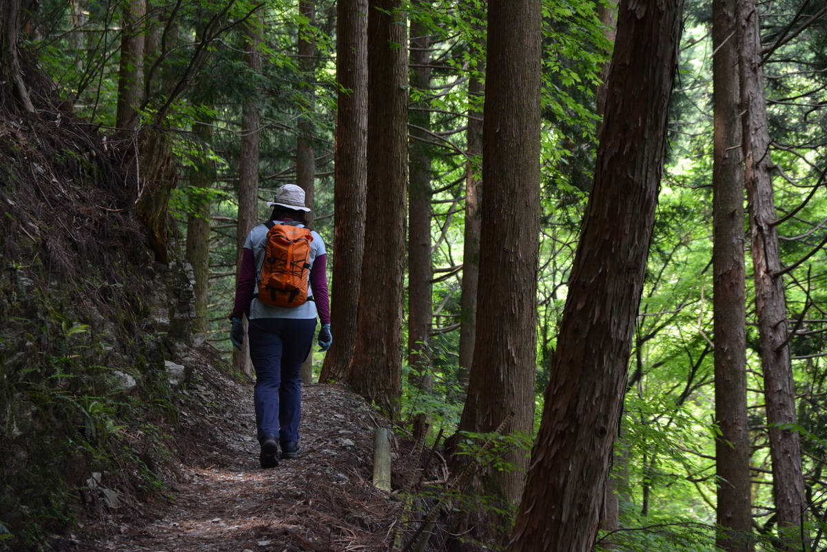 f:id:kurokoshusaru:20200531163109j:plain